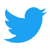 Twitter icon